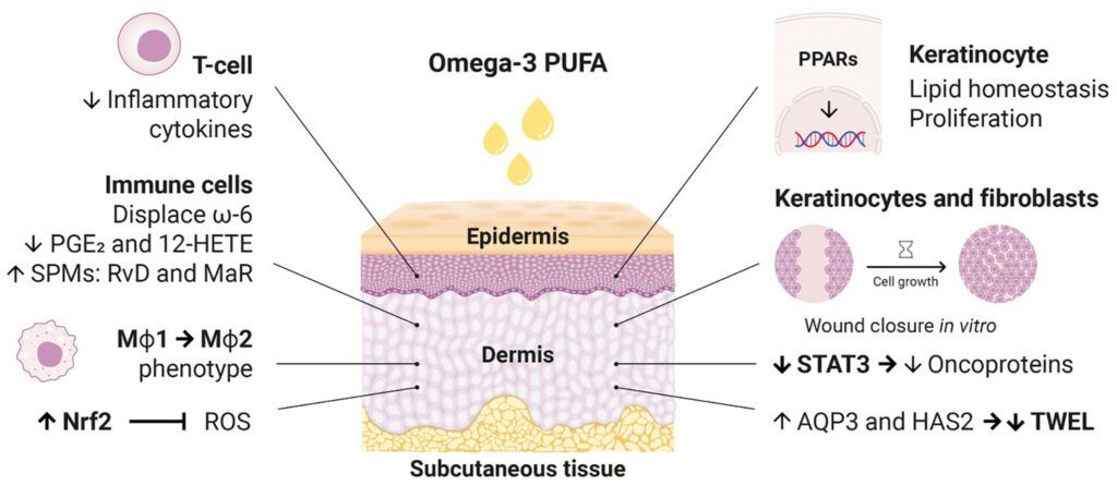 beneficial effects of the topical treatment with omega 3 pufas