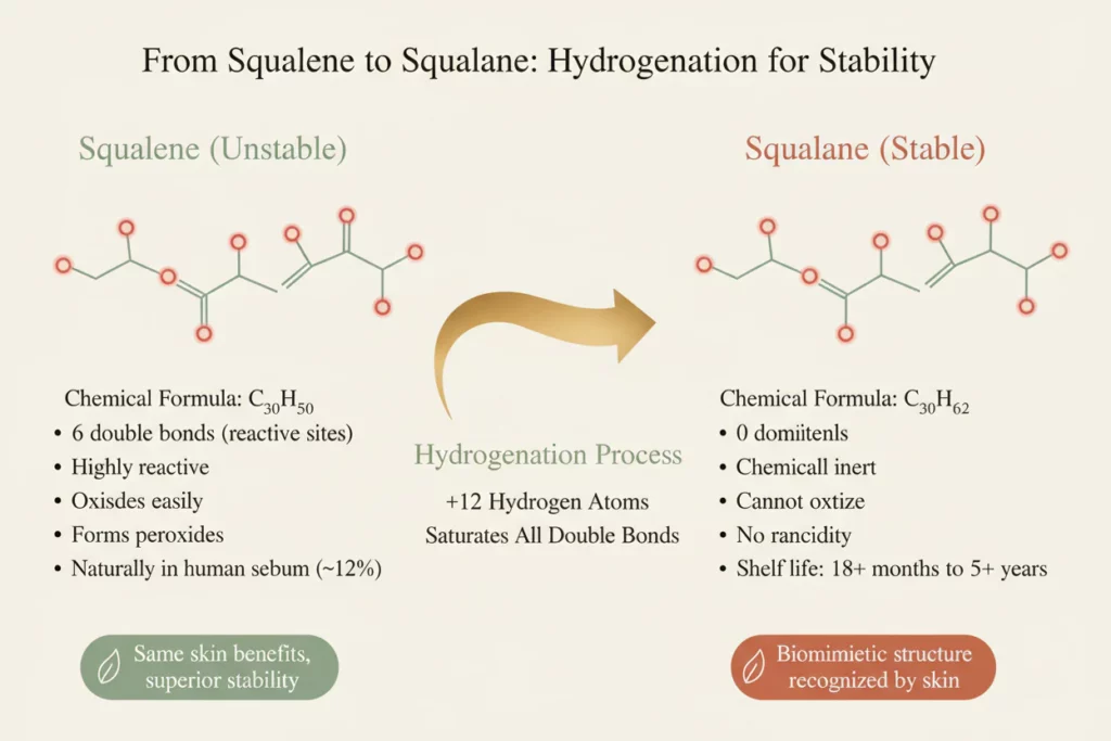 from squalene to squalane hydrogenation for stability