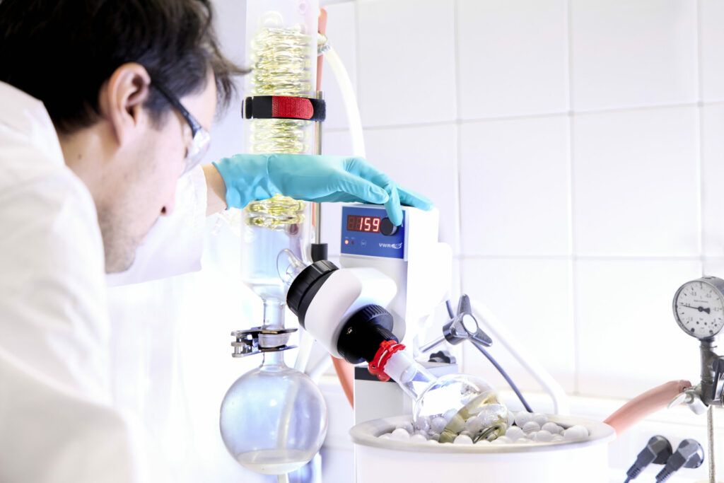 analytical services stella