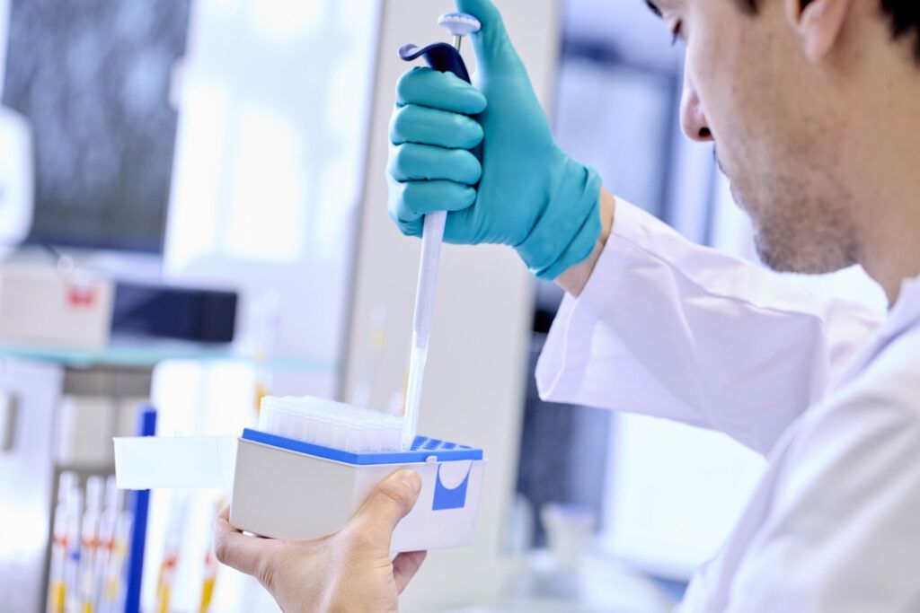 analytical services stella